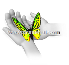 butterfly_sitting_in_hands_8118-tato